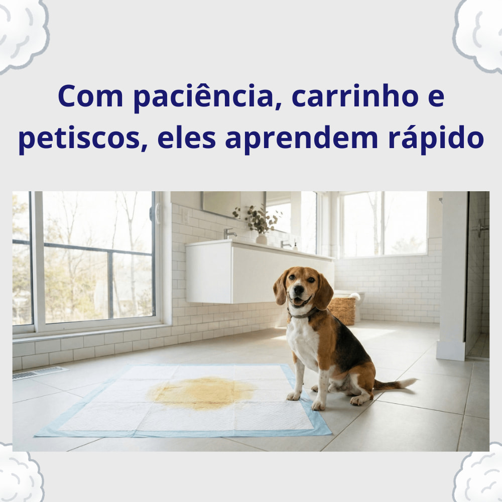 Tapete Higienico Super Rug 80x60cm Rota do Pet Manejo